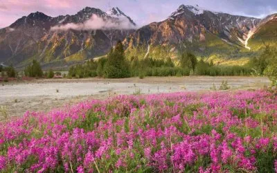 Wilderness  British Colombia  Canada