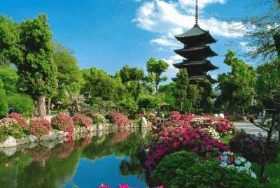 Toji Temple Kyoto  Japan