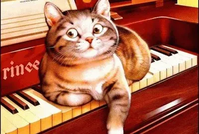 Gatos jigsaw puzzle