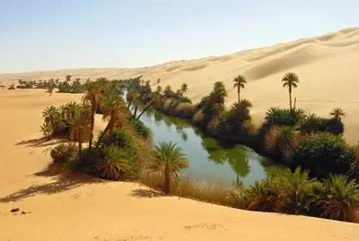 Oasis in the Sahara