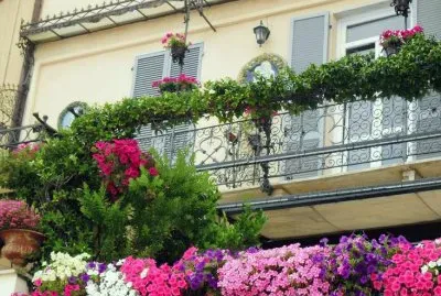 Many Flowers around the House jigsaw puzzle