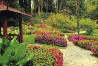 JardÃ¬