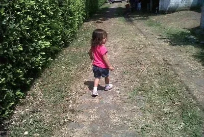 flores jigsaw puzzle