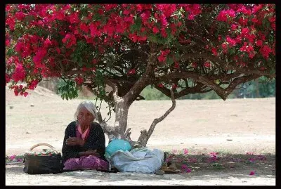 Old Lady resting in the shade  Mexico City