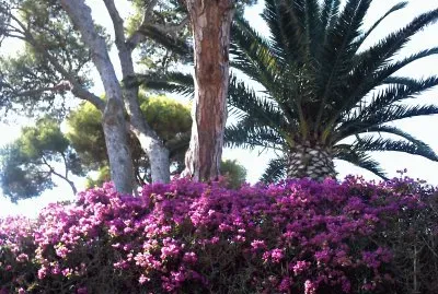JardÃ¬