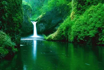 Punch Bowl Falls-Eagle Creek Widerness