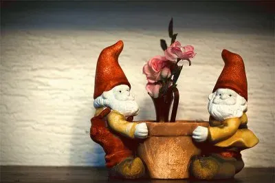 Gnomes
