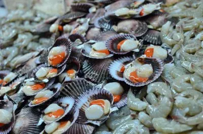 Delicacy from the Sea