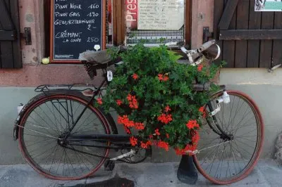 Le tour de France  Alsace