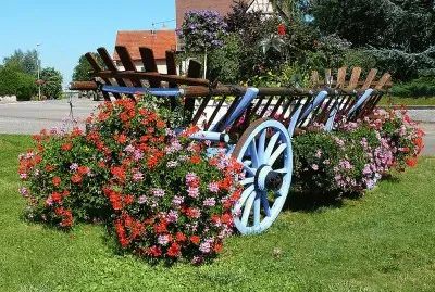 Flowers on a Cart  France
