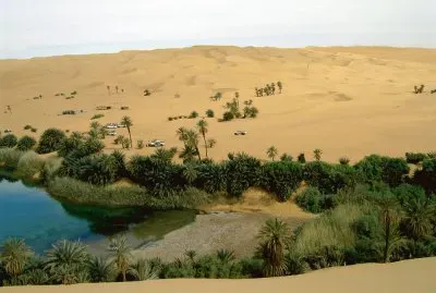 Oasis in the Libyan desert