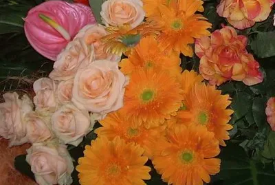 Flors