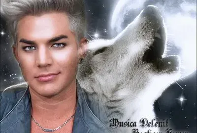 Adam lambert