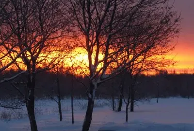 פאזל של Winter sunrise