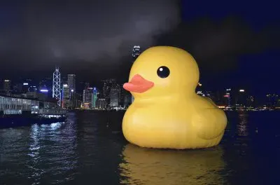 Duck in the Hong Kong Harbour