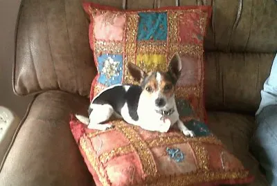 janetharboledacandelo