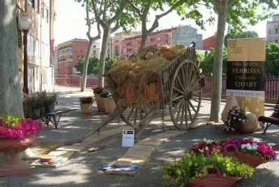 Temps de Flors 2013