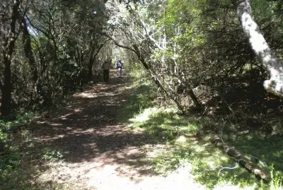 פאזל של SIERRA DE LAS ANIMAS
