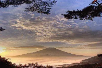 paisagem jigsaw puzzle