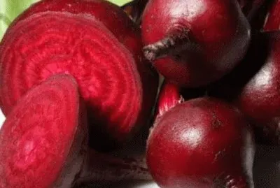 barbabietola