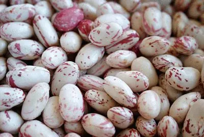 borlotti