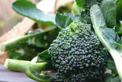 broccoli