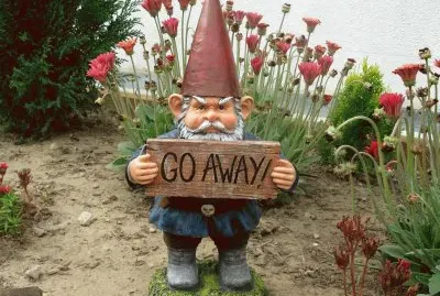 Angry Gnome