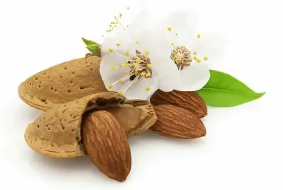mandorla