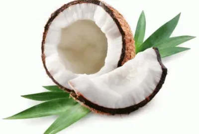 cocco