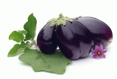 melanzana