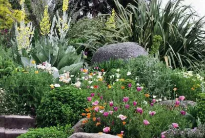 JardÃ¬