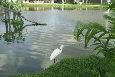 Mangal das GarÃ§as 1 - Belem - PA