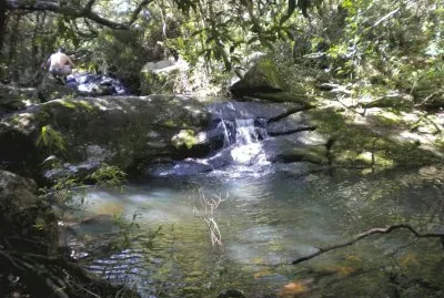 פאזל של CASCADA