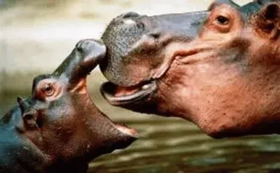 פאזל של mom #131