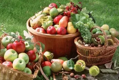 Aliments