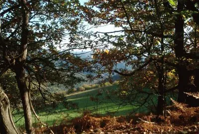 paysage cÃ©venol jigsaw puzzle