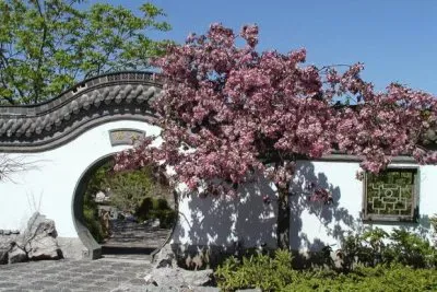 Chinese Garden  Montreal