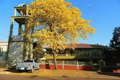 פאזל של Ipe Amarelo