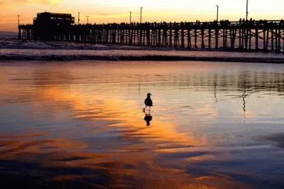 Sunset at Newport Pier-Newport Beach