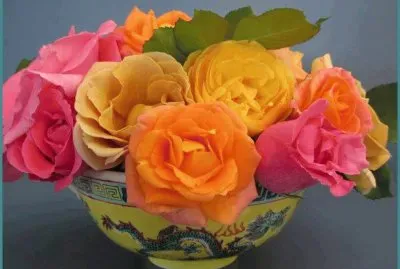 amarillo rosa y rojo