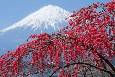 Mount Fuji  Japan