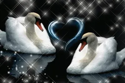 Till Death Do Us Part