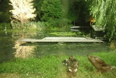 פאזל של é¢¨æ™¯