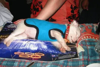 Tango en la revista CARAS