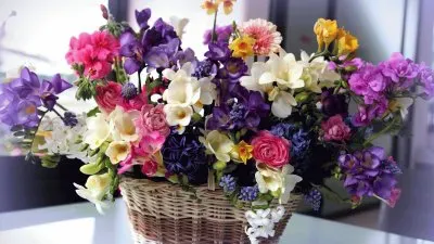 Flower Basket