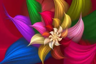 Satiny Bloom