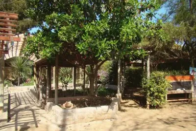 Arbol