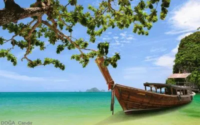 natureza jigsaw puzzle