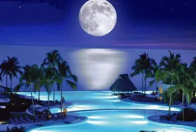 noche de luna jigsaw puzzle