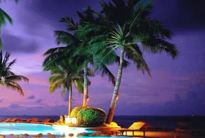 paisaje jigsaw puzzle